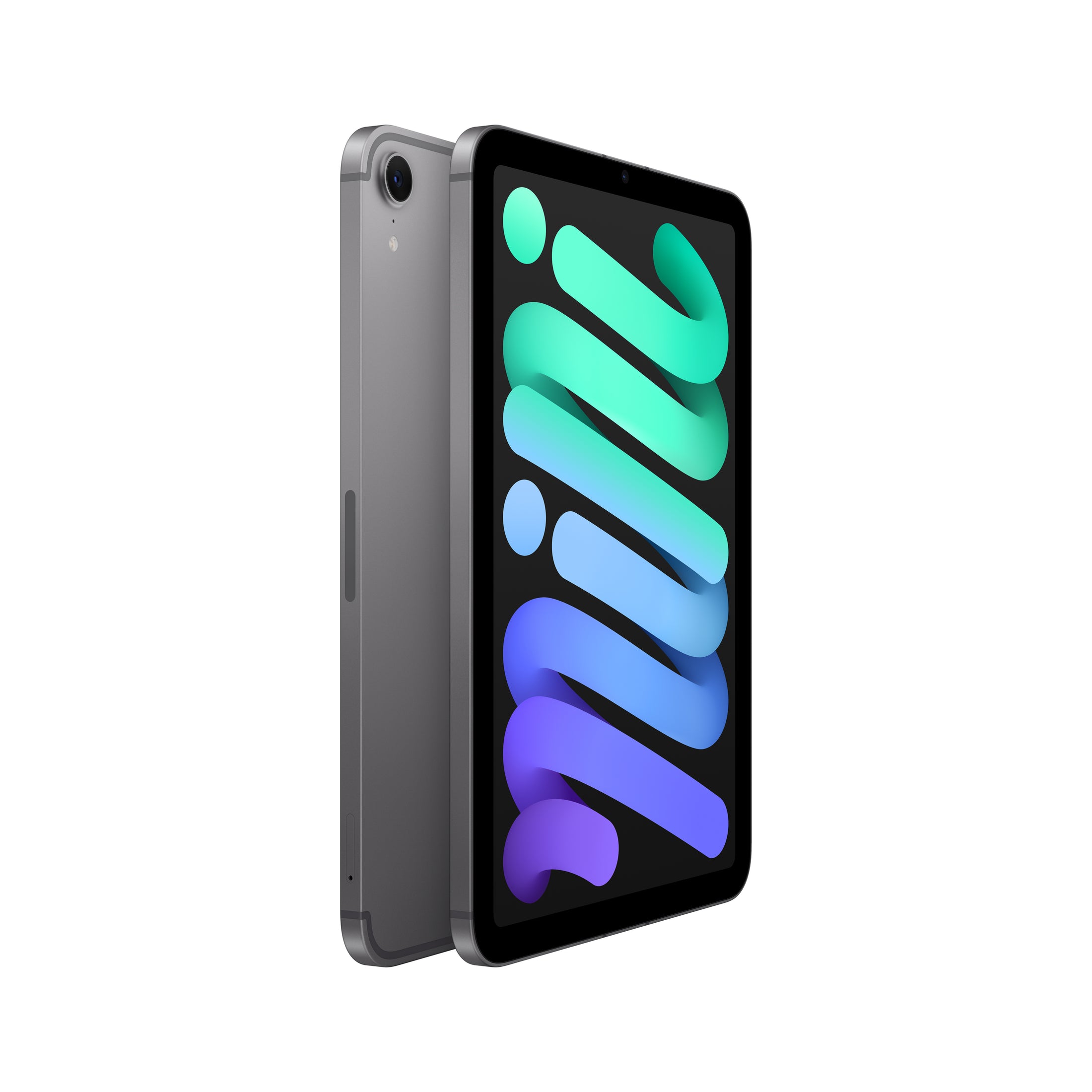 iPad mini (A17 Pro) in Space Gray - Wi-Fi + Cellular - Position 2